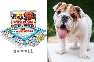 Pet: Conheça o jogo Dog-Opoly, o "banco imobiliário" para quem é apaixonado por cachorros