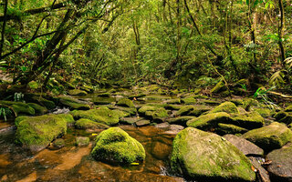 SÃO LUIS DO PARAITINGA
