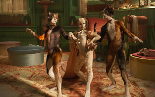 Cats