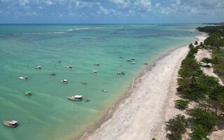 Patacho | Alagoas