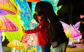 Lektrik Art: Um Festival de Luzes | Jardim Botânico