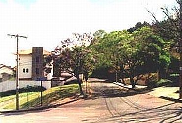 Imagem de destaque para Rua do Amendoim