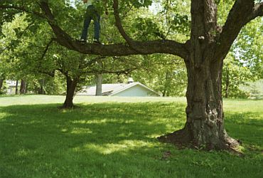Imagem de destaque para Parque Municipal