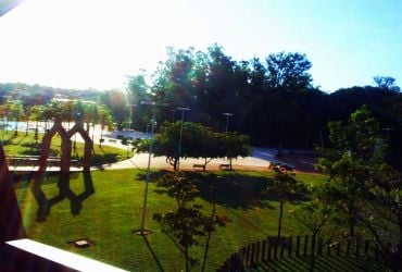 Imagem de destaque para Horto Florestal