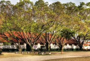 Imagem de destaque para Parque do Trote