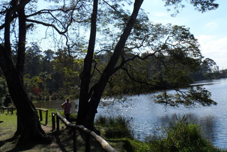 Imagem de destaque para Parque do Carmo